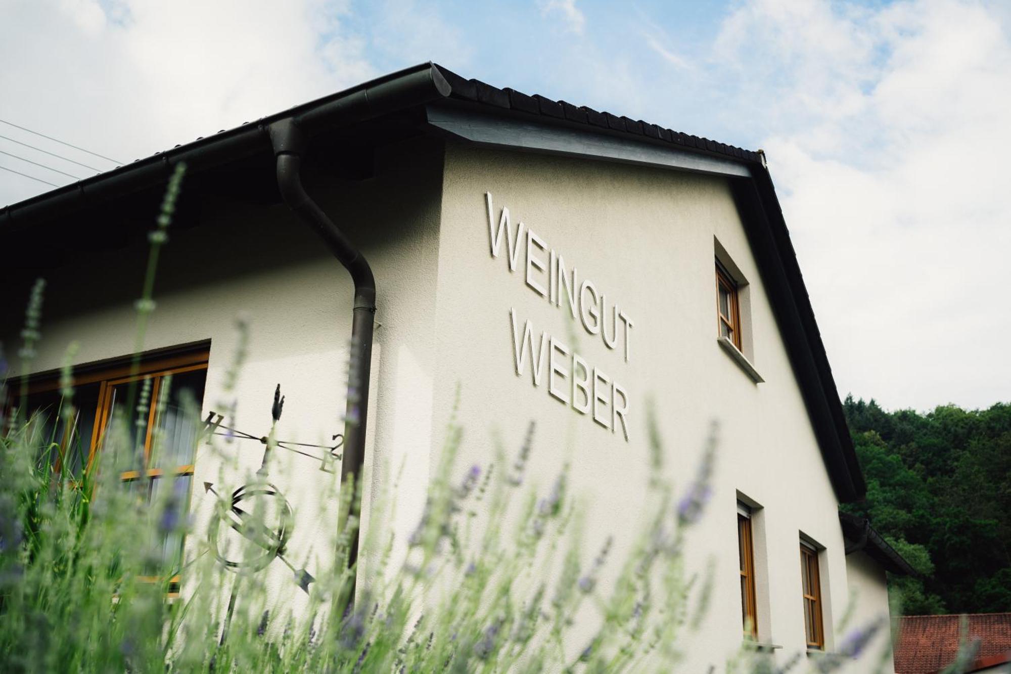Moderne Ferienwohnung Auf Dem Weingut Monzingen Exterior foto