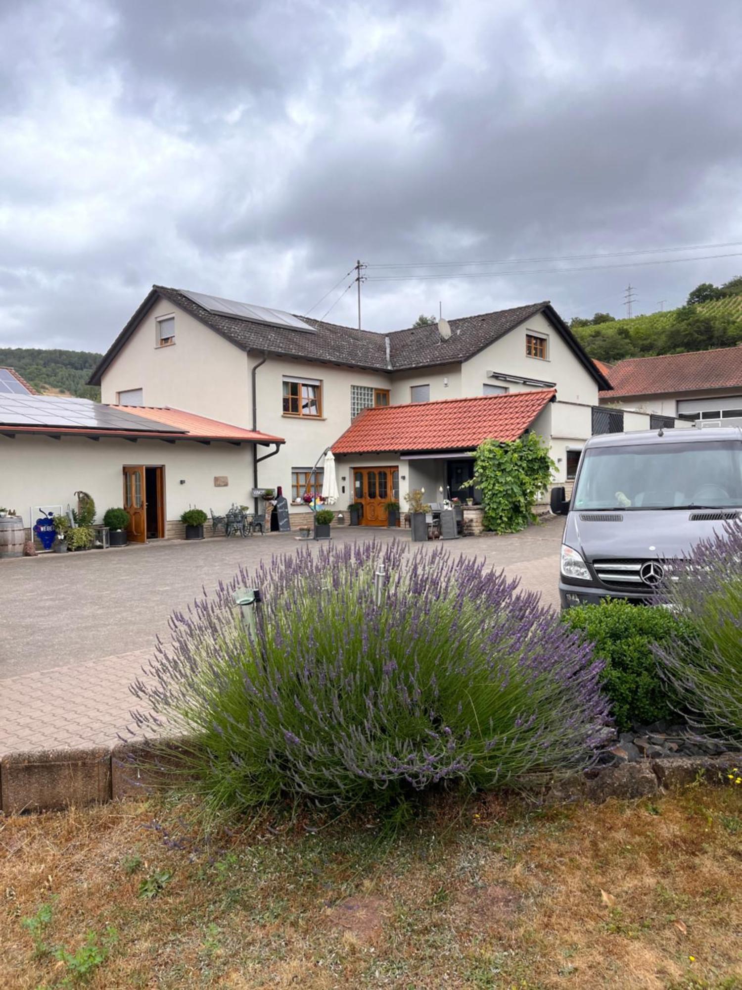 Moderne Ferienwohnung Auf Dem Weingut Monzingen Exterior foto